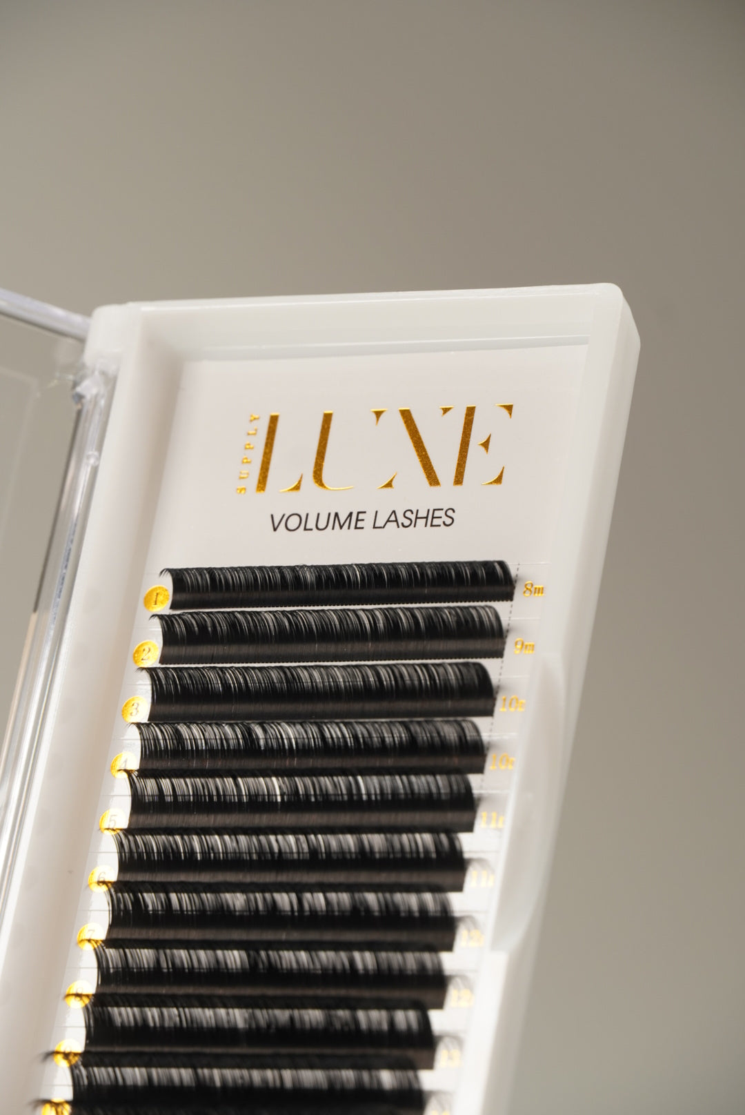 Volume Lashes