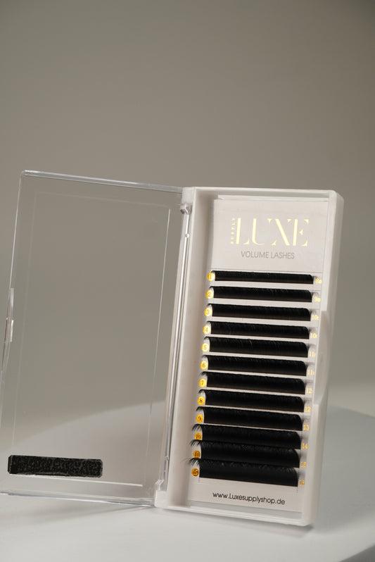 Volume Lashes